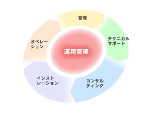 サンブリッジアンシス